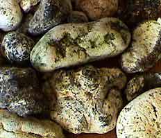 ambergris2