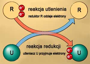 redoks