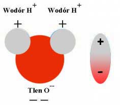 woda1